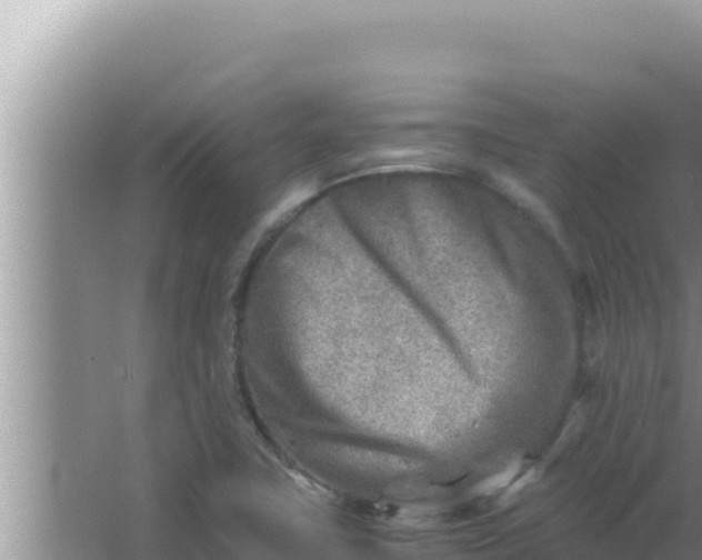 X0000066961411200604071952