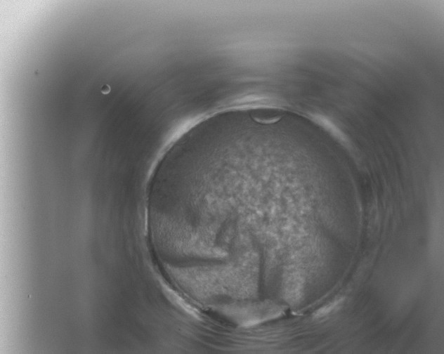 X0000066961413200604071952