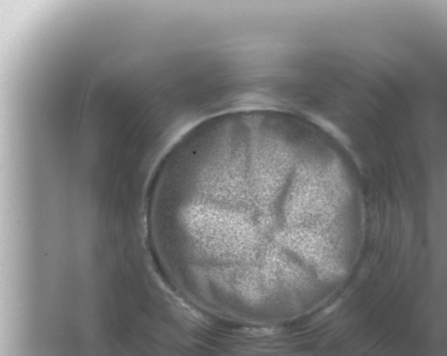 X0000066961415200604071952