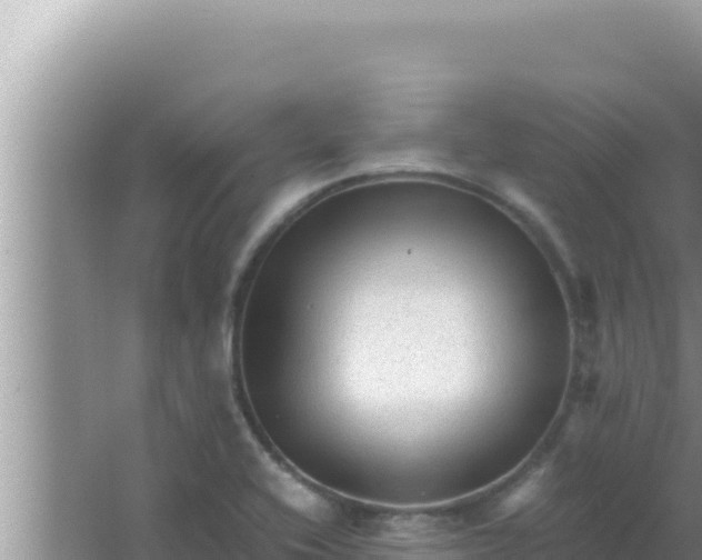 X0000066961416200604071952