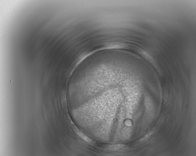 X0000066961417200604071952