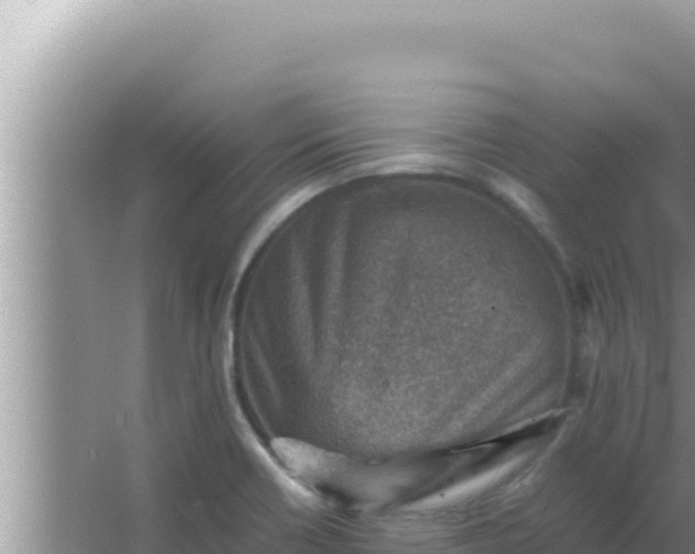 X0000066961418200604071952