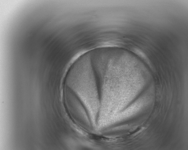 X0000066961419200604071952