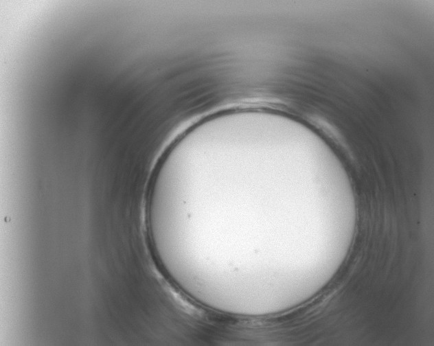 X0000066961420200604071952