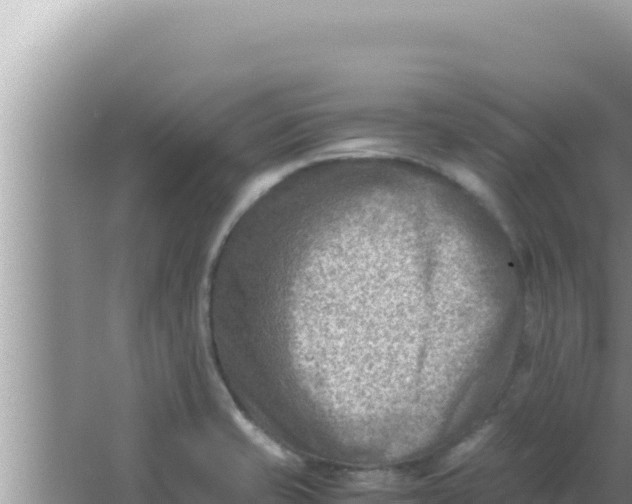 X0000066961421200604071952