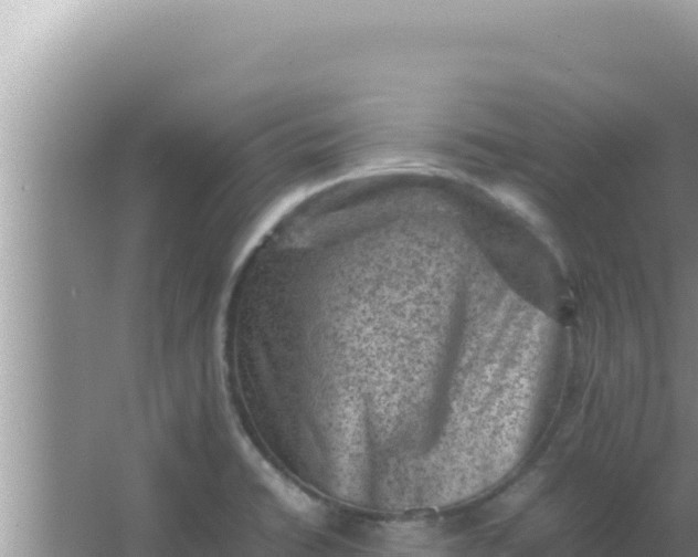 X0000066961422200604071952