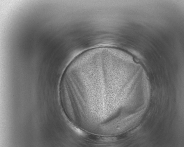 X0000066961423200604071952