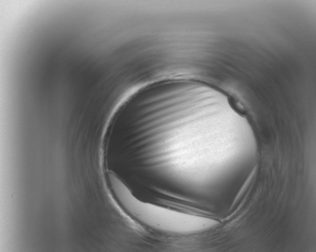 X0000066961424200604071953