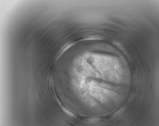 X0000066961425200604071953