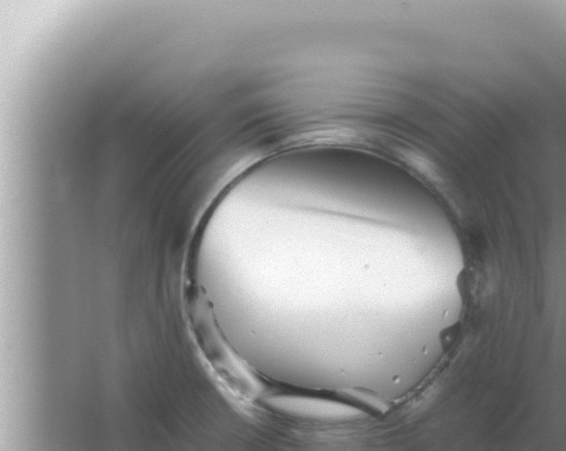 X0000066961426200604071953