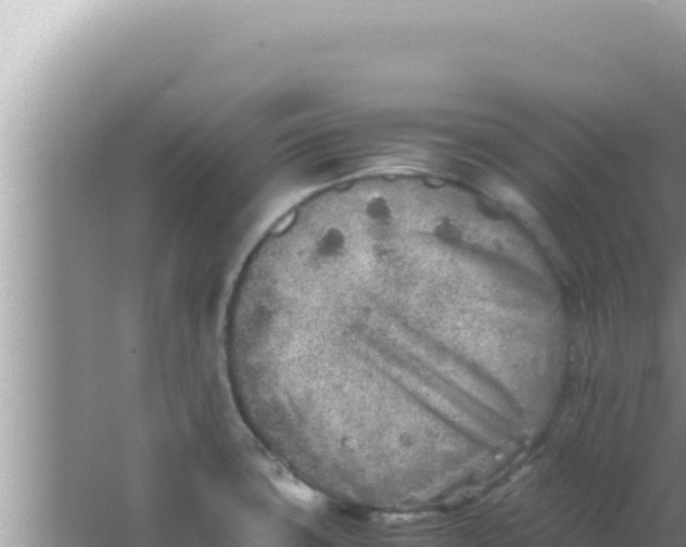 X0000066961427200604071953