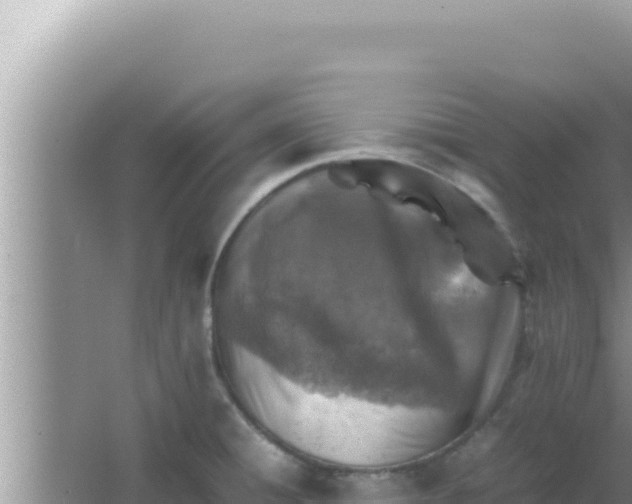 X0000066961428200604071953