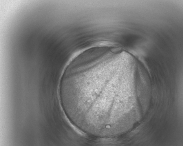 X0000066961429200604071953