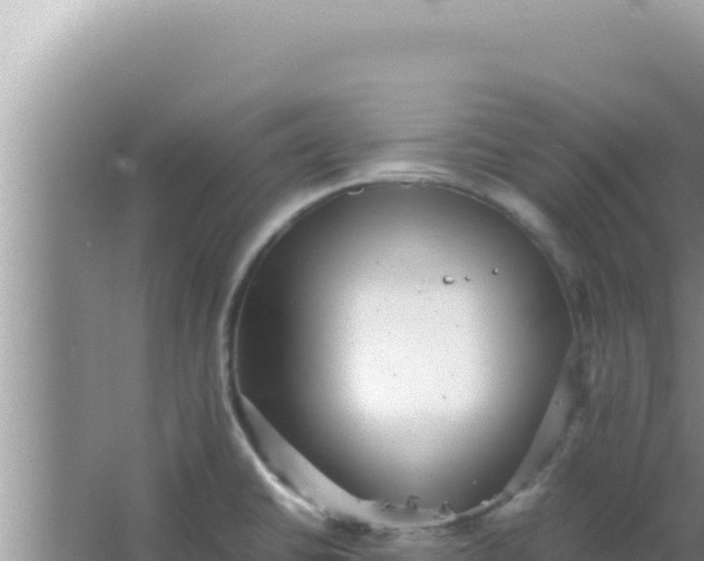 X0000066961430200604071953