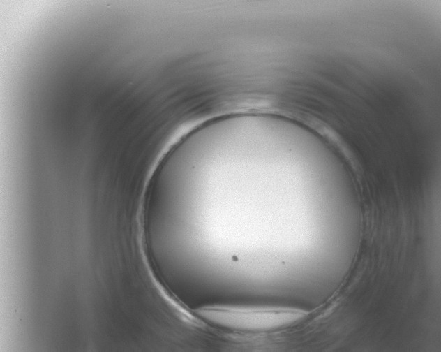 X0000066961432200604071953