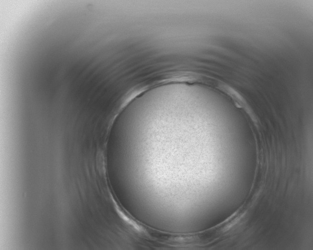 X0000066961433200604071953