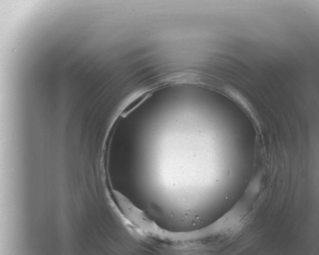 X0000066961434200604071953