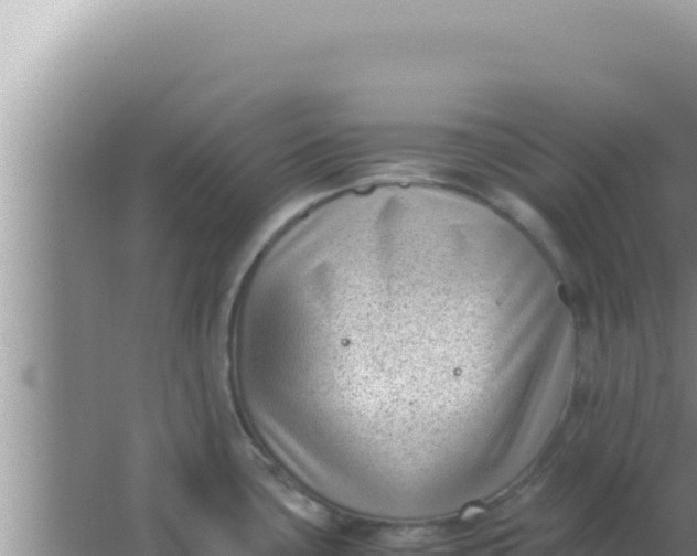 X0000066961435200604071953