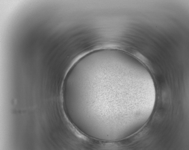 X0000066961436200604071953