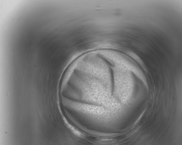 X0000066961439200604071953