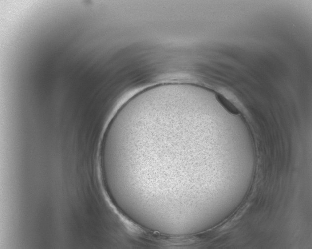 X0000066961440200604071953