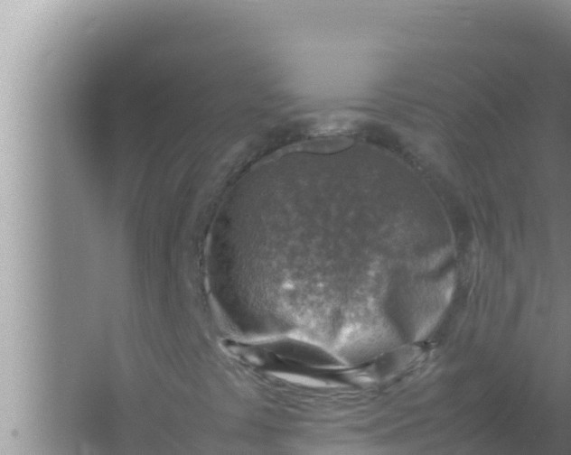 X0000066961441200604071952