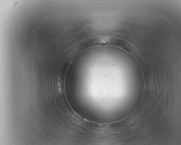 X0000066961442200604071952