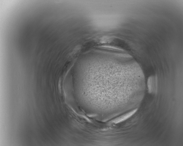 X0000066961443200604071952