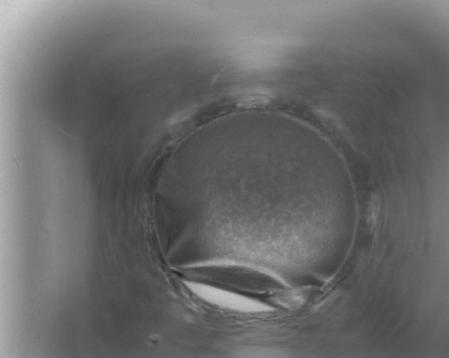 X0000066961445200604071952