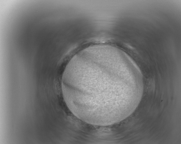 X0000066961446200604071952