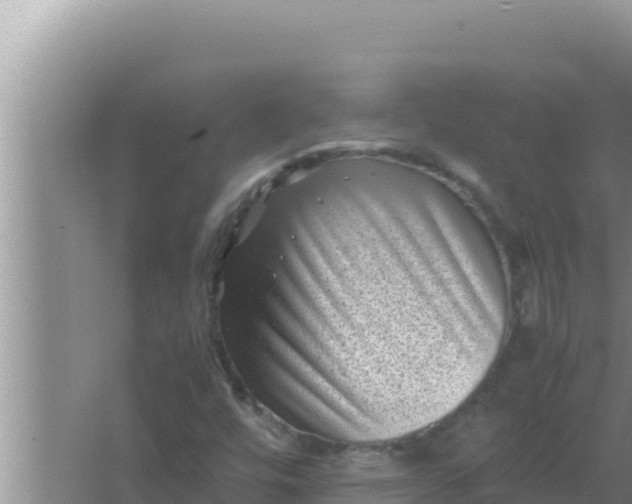 X0000066961448200604071952