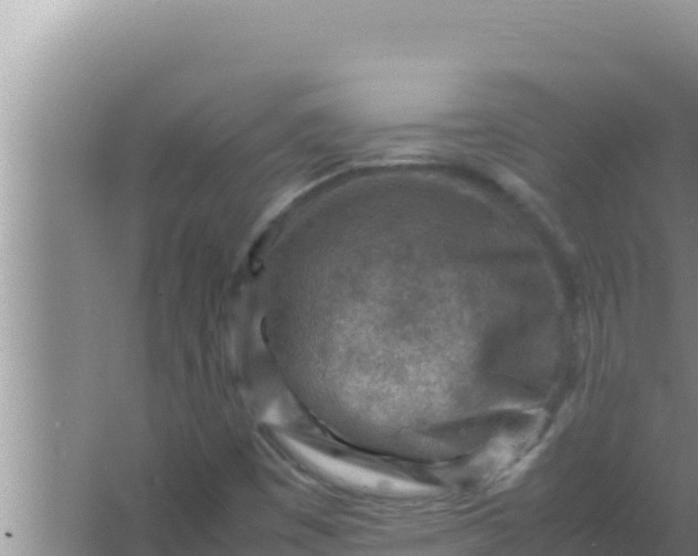 X0000066961449200604071952