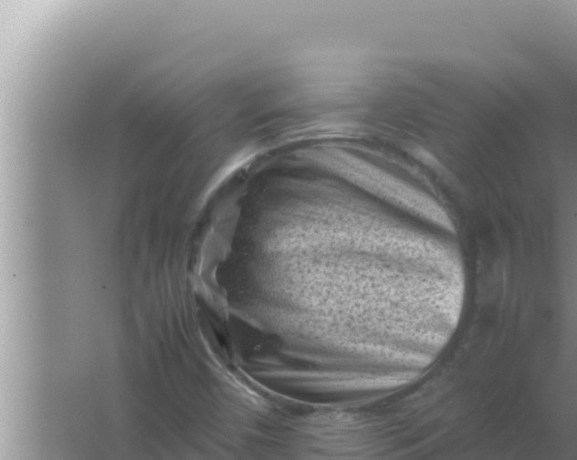 X0000066961450200604071952