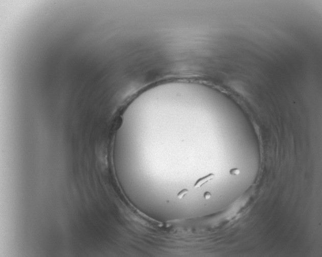 X0000066961451200604071952