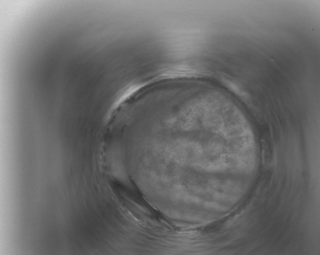 X0000066961453200604071952