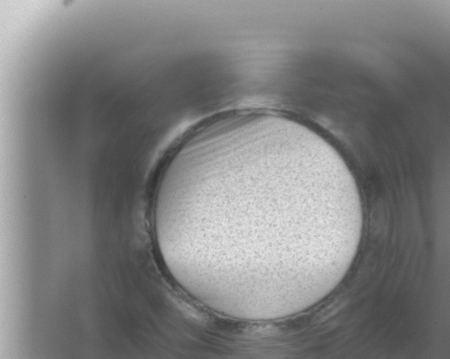 X0000066961454200604071952