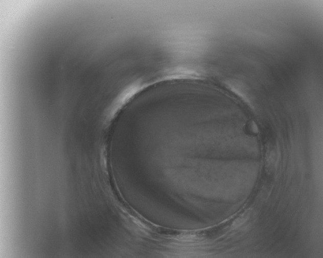 X0000066961455200604071952