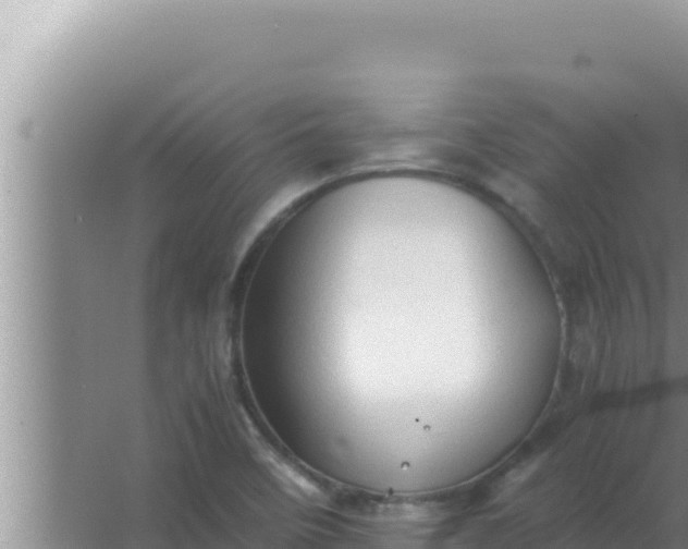 X0000066961458200604071952