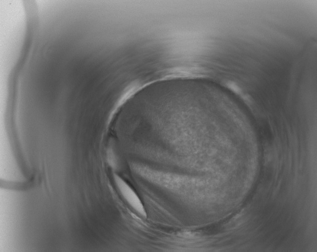 X0000066961459200604071952