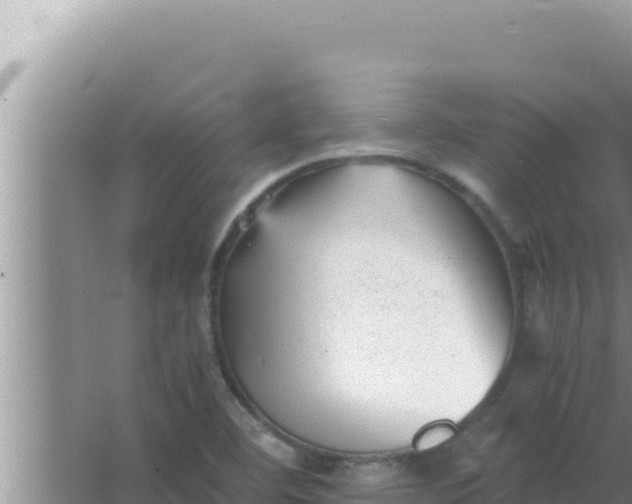 X0000066961460200604071952