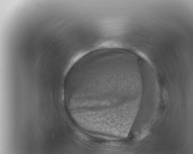 X0000066961461200604071952