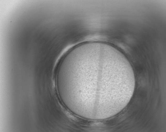 X0000066961462200604071952