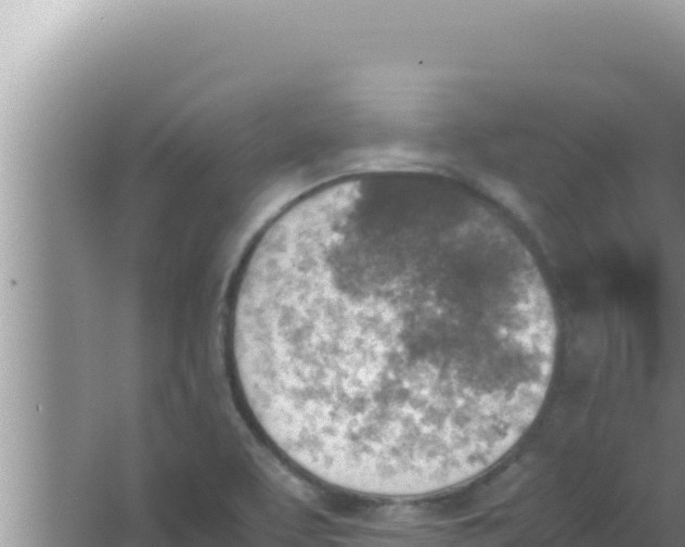 X0000066961463200604071952