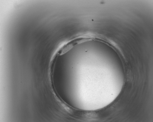 X0000066961464200604071952