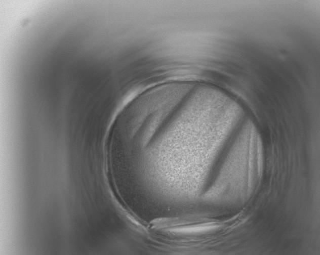 X0000066961467200604071952