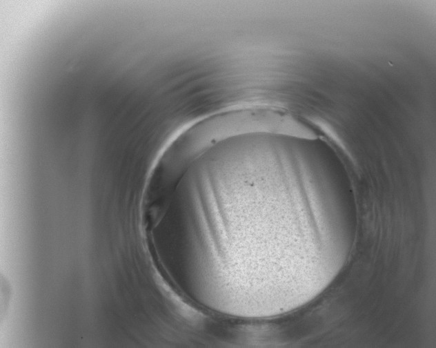 X0000066961468200604071951