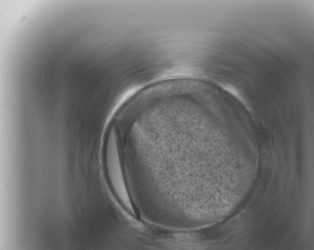 X0000066961469200604071951