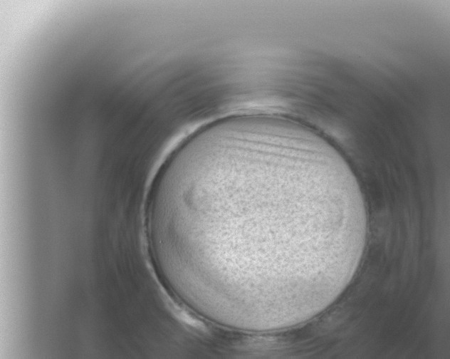 X0000066961470200604071951