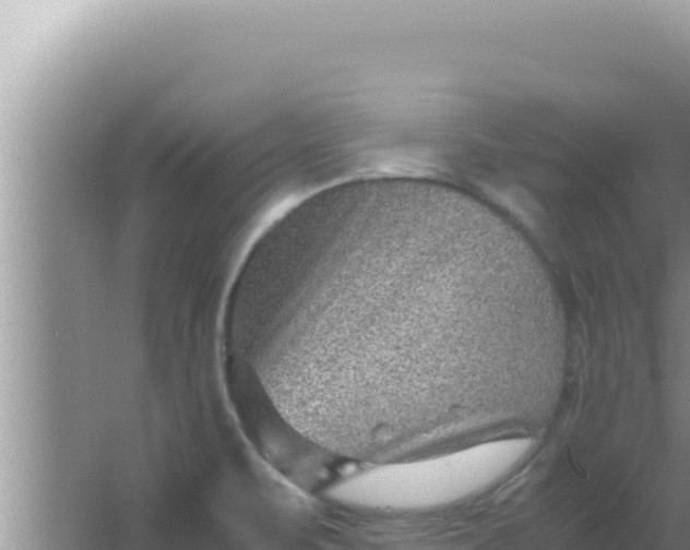 X0000066961471200604071951