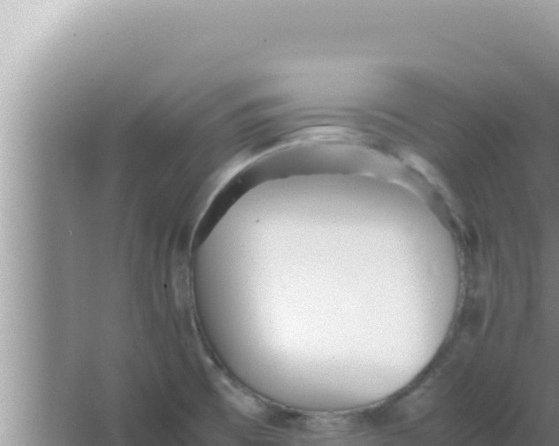 X0000066961473200604071951